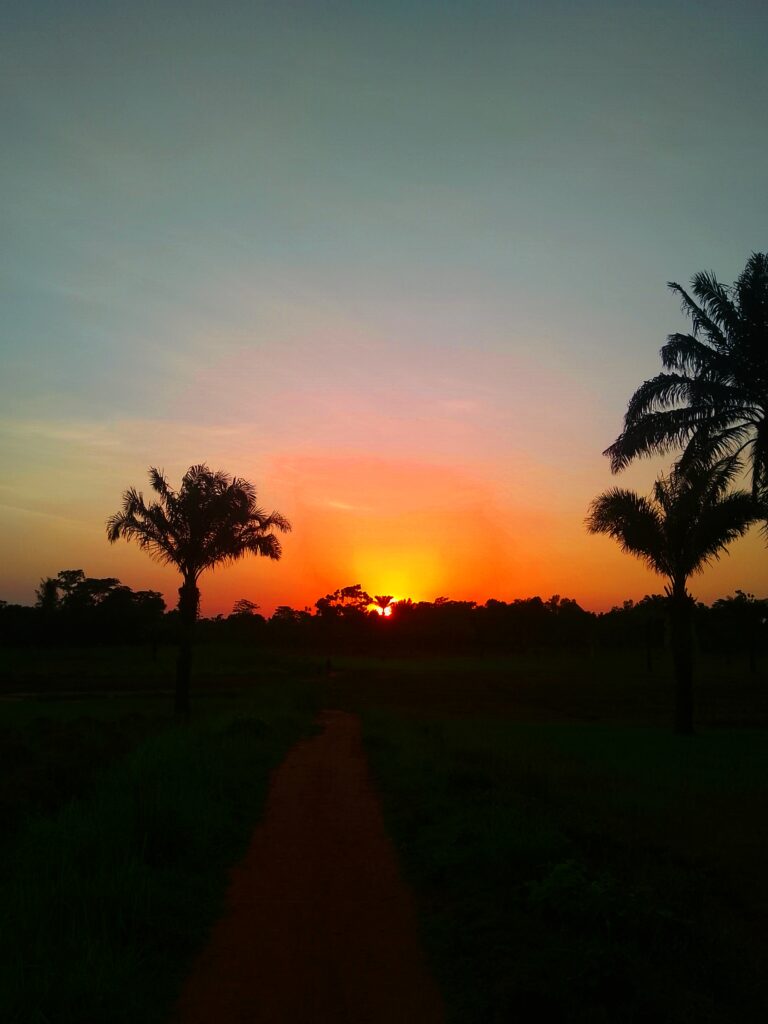 A path at sunset, Ebonyi State, Nigeria